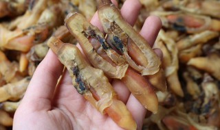 如何清洗蛏干 干蛏怎么洗