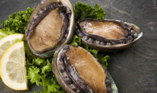 如何鲍鱼清洗干净 如何鲍鱼清洗干净图解