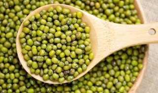 为什么减肥不能吃绿豆 108斤怎么瘦到90斤