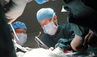 吴孟超事迹简介 吴孟超事迹简介200字