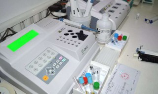 bod是什么意思 body是什么意思