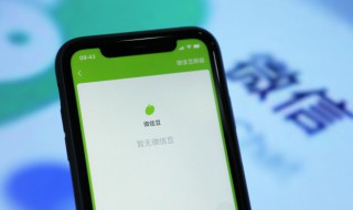 微信借钱怎么借（微信借钱怎么借钱）