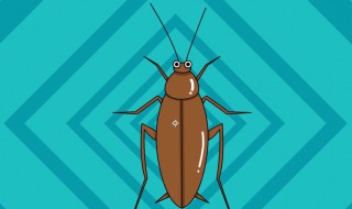 把蟑螂踩死会不会有更多蟑螂（把蟑螂踩死会不会有更多蟑螂出现）