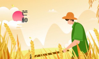 芒种做什么农活 芒种要干啥