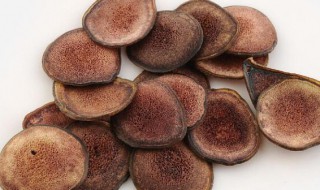 鹿茸的最佳保存方法 鹿茸的最佳保存方法和时间