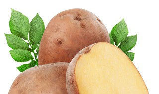 为什么发芽的马铃薯不能吃呢 为什么发芽的马铃薯不可以吃