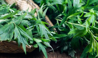 什么人不能用艾草枕头 颈椎病最怕的三种枕头