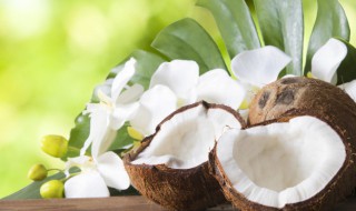 什么人不能喝椰子粉（什么人群不能喝椰子汁）