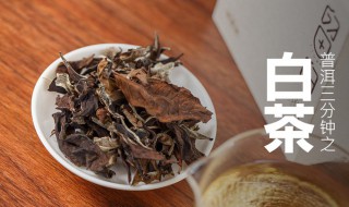 寿眉白茶简介 寿眉是什么档次的茶