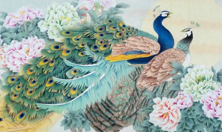 孔雀图什么人不能挂（孔雀图什么人不能挂挂画的禁忌有哪些）