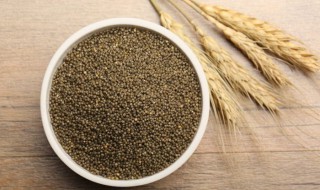 怎么鉴别黑小米 怎样鉴别黑小米的真假