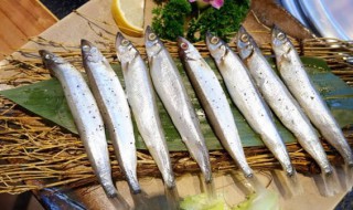 如何清洗多春鱼 多春鱼清洗及制作方法