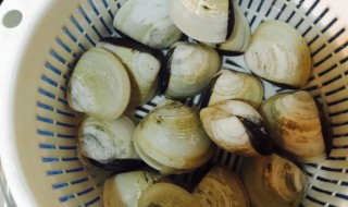 如何清洗白贝 如何清洗白贝的做法