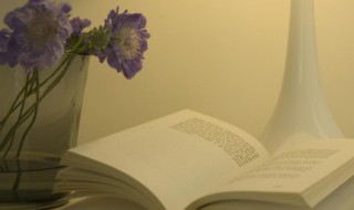 烂好人是什么意思（烂好人是什么意思呢）