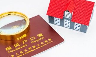 家庭关系怎么填（亲子关系的四种类型）