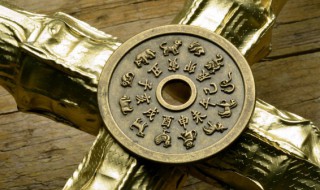 哪些生肖人不能买龙龟 龙龟和什么属相相克