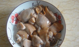 河蚌肉哪些不能吃 河蚌肉怎么做好吃易烂