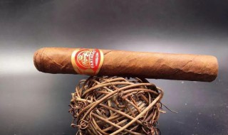 雪茄不能吸进肺里吗（抽雪茄正确的吞吐方法禁忌）