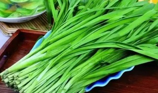 韭菜还能吃吗 阳历5月份的韭菜还能吃吗