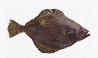 比目鱼不去皮能吃吗 比目鱼不去皮能不能吃