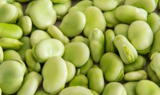 如何保存蚕豆（怎么保存蚕豆）