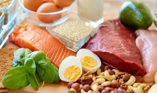 不吃碳水支持蛋白质能减肥吗 不吃碳水支持蛋白质能减肥吗