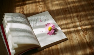 冲鸡煞西是什么意思（乙卯时冲鸡煞西是什么意思）