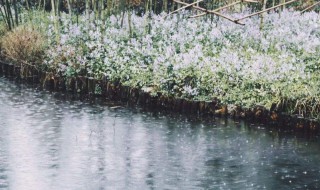 雨量毫米是什么意思 雨量毫米是什么意思公厘是什么意思