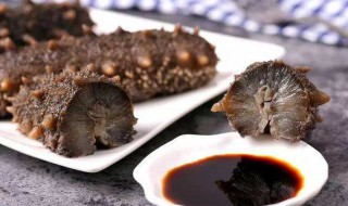 哪些人群不适合吃海参（哪些人群不适合吃海参补品）