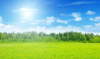 感谢别人帮助的话 感谢别人帮助的话朴实