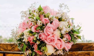 看病人送什么花合适（去医院看病人送什么花合适）