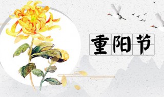 重阳节生日说说（重阳节生日说说朋友圈短句）