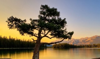 努力赚钱的说说（努力赚钱的说说短句）