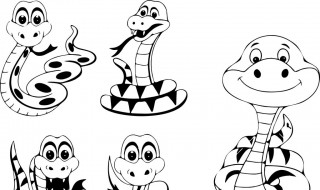 女人梦见蛇 女人梦见蛇爬在身上但没咬我