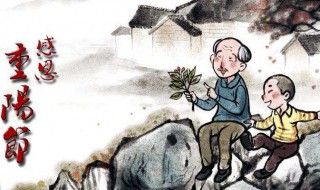 重阳节的感慨 重阳节感慨语