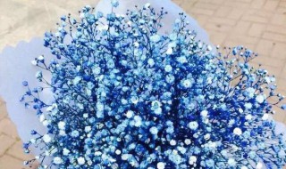 朋友生日送什么花（朋友生日送什么花好）