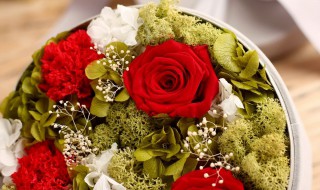 送男生什么花比较好 送男朋友什么花比较好