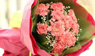 老人过生日送什么花 老年人生日送什么花