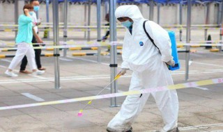 白蚊防治消杀方法 白蚊如何防治