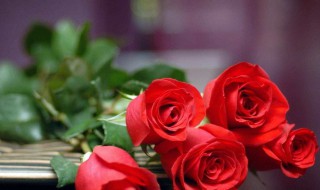 包玫瑰花束的方法（包玫瑰花花束教程）