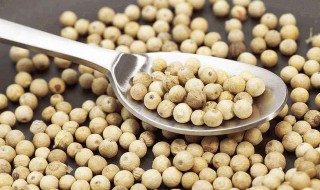 白胡椒粉的食用方法 白胡椒粉的食用方法及用量