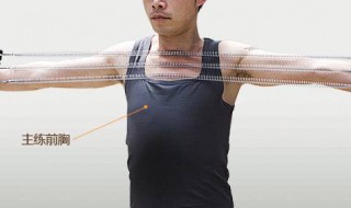 拉力器的锻炼方法（拉伸器的正确锻炼方法）