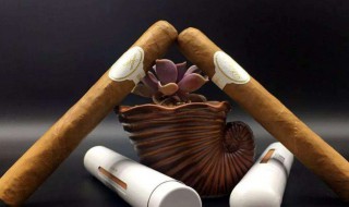 抽雪茄正确的吞吐方法（抽雪茄有什么好处和坏处）