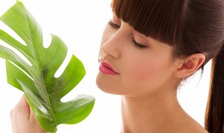 植物标本制作方法 标本制作的方法