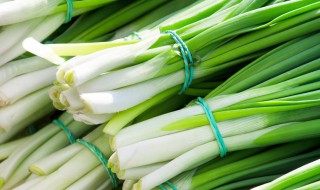 香葱的种植方法和时间 香葱的种植方法