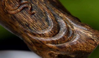 沉香木鉴别方法（沉香木鉴别方法用水）