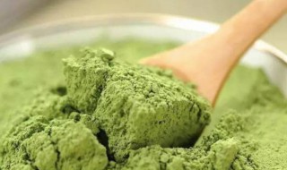 桑叶粉的功效与作用及食用方法 男人喝多了桑叶影响性功能