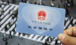 如何交纳社保（如何缴纳社保）