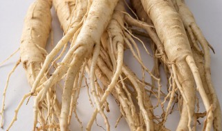西洋参有什么的功效 西洋参 有什么功效