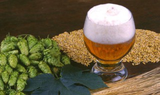 喝啤酒好吗 老人喝啤酒好吗